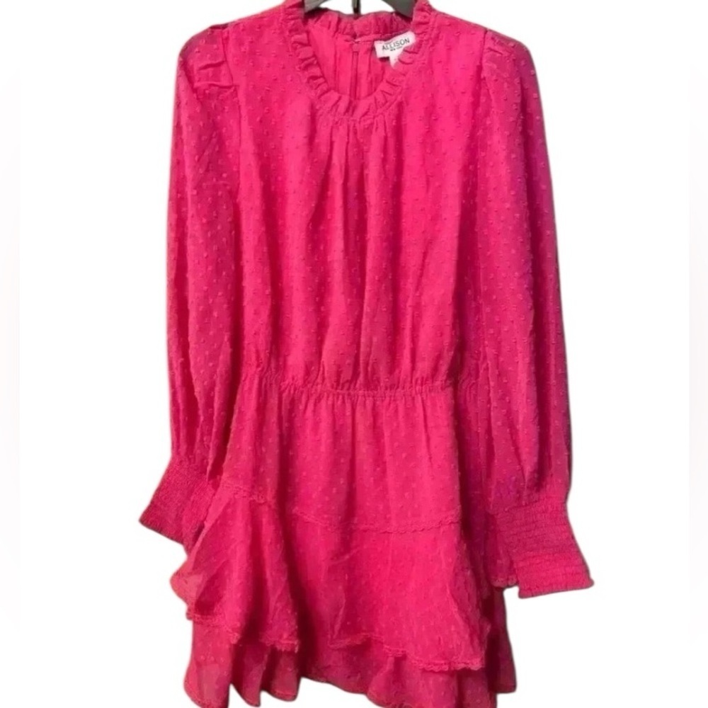 Allison Women's Mini Dress Hot Pink Swiss dot long sleeve ruffles sheer New L